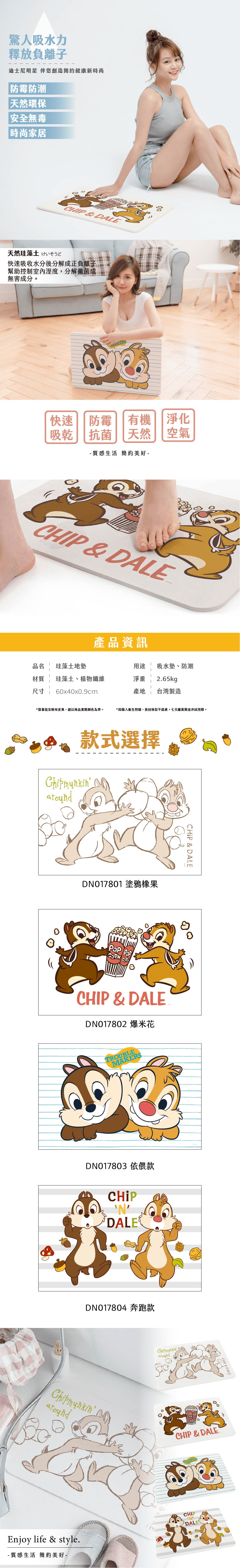 迪士尼 奇奇蒂蒂-珪藻土地墊60x39 | 硅藻土 腳踏墊  【收納王妃】 商品細節 2