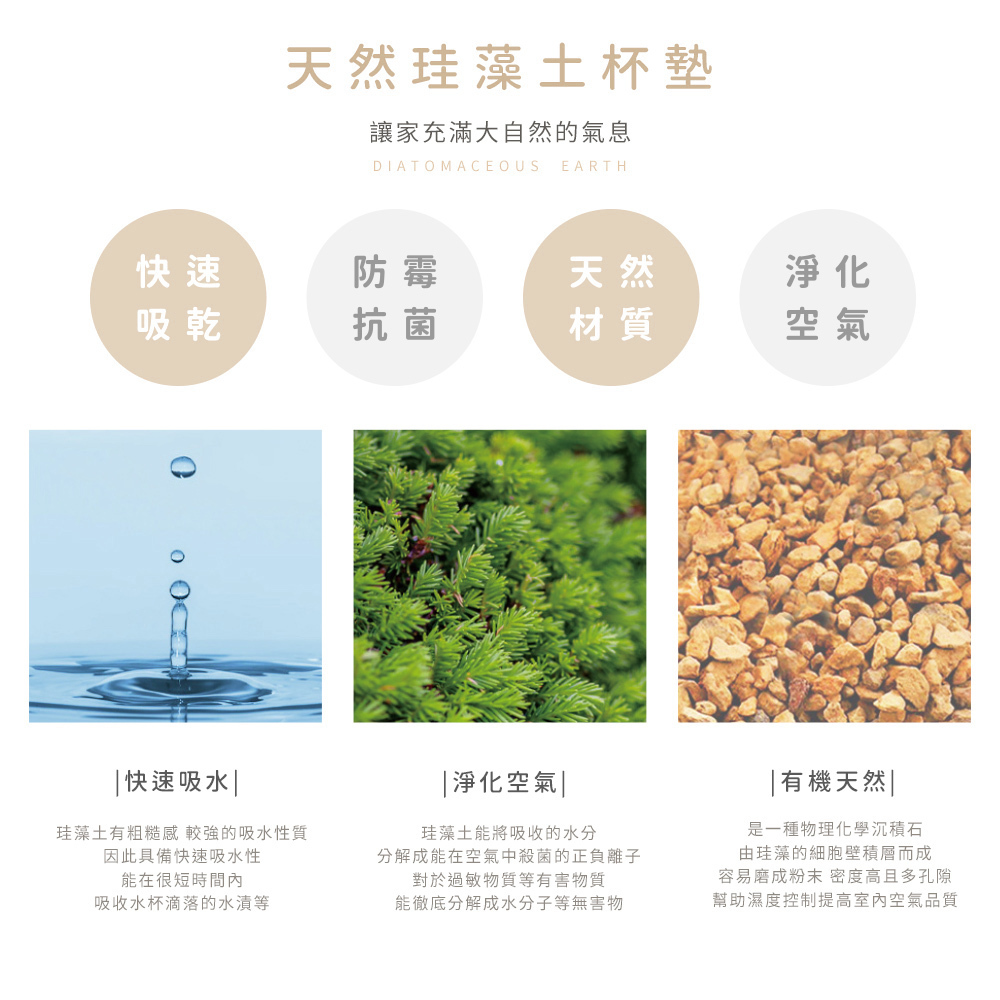 迪士尼經典 貓狗系列-珪藻土洗漱墊24X8 |牙刷架 防滑墊 瀝水墊【收納王妃】 商品細節 6